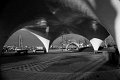 41 - Arches at La Guardia - SALIM MOHAMMAD ALI - united states (the)